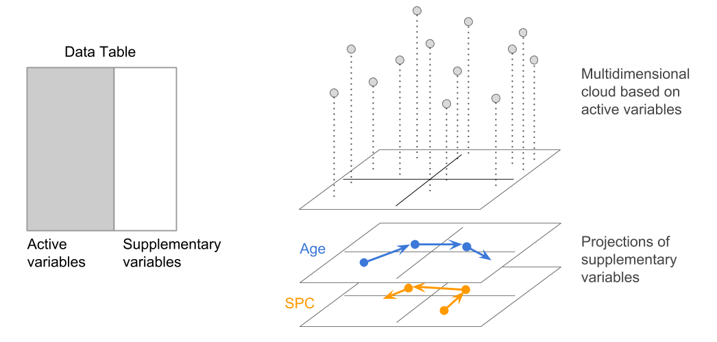 Projection of categorical supplementary variables